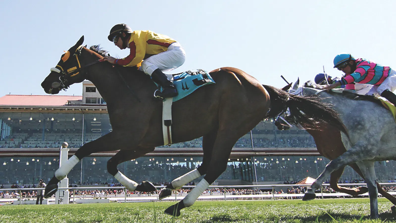A Day at the Races