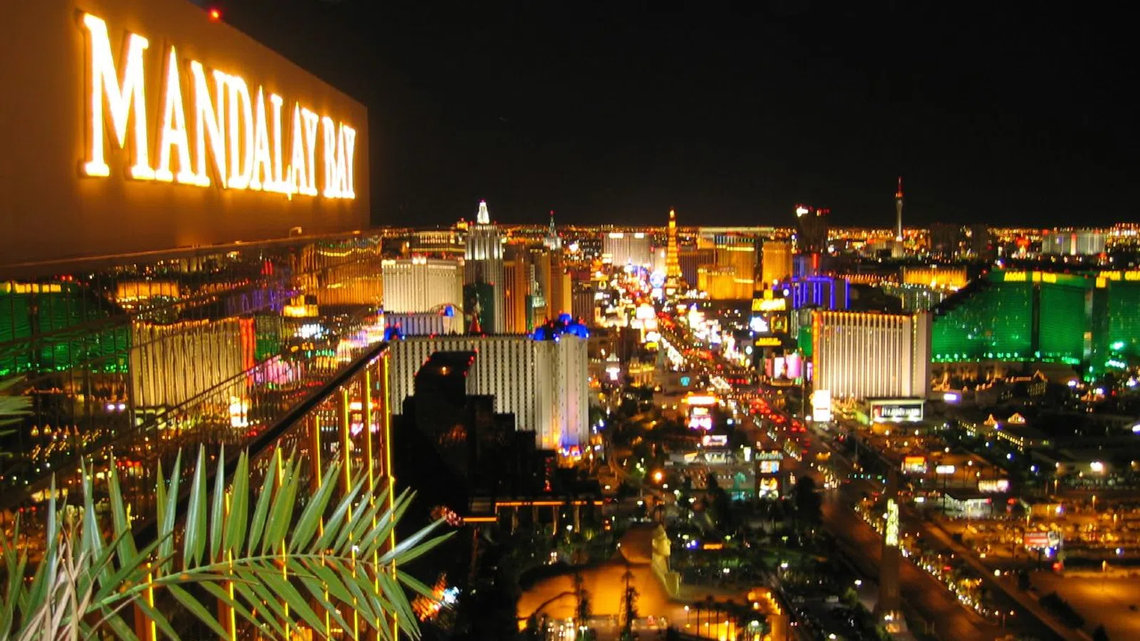 Things to Do In Vegas When You're Alive