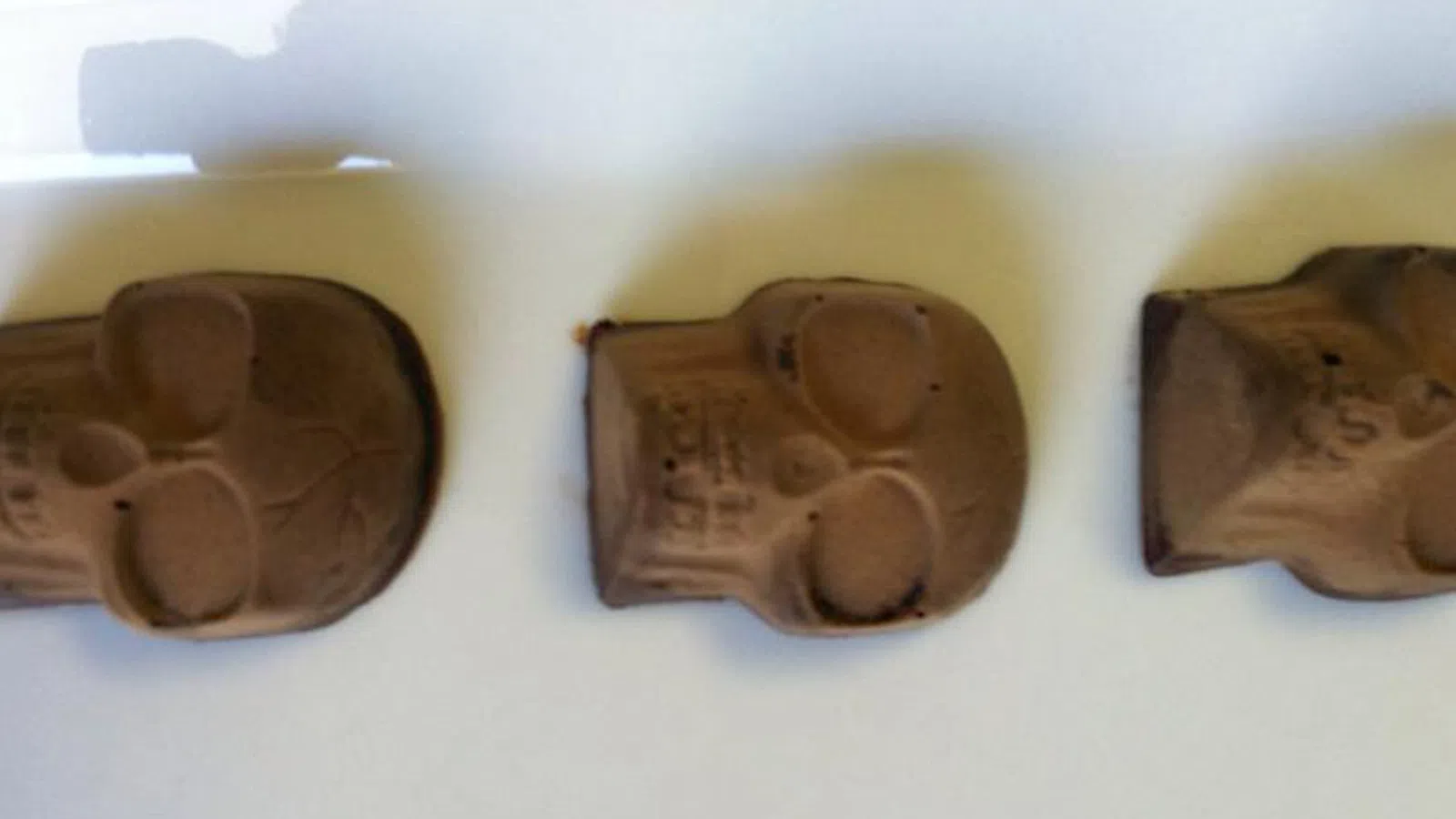 Staff Experiments: Euphorbia Kava Bar