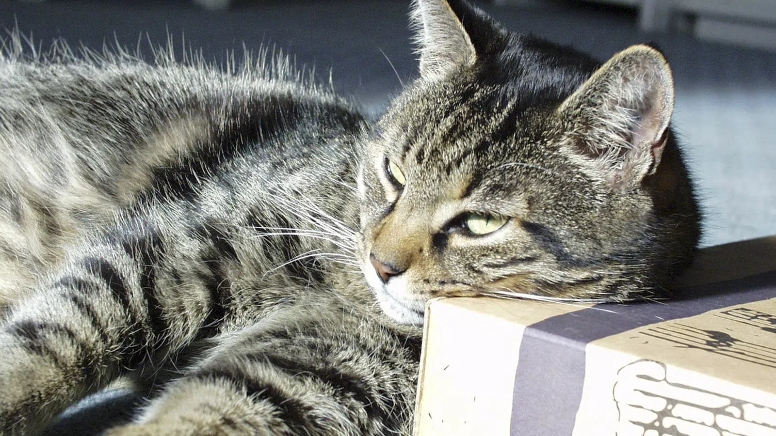15 Ways to Overcome Procrastination
