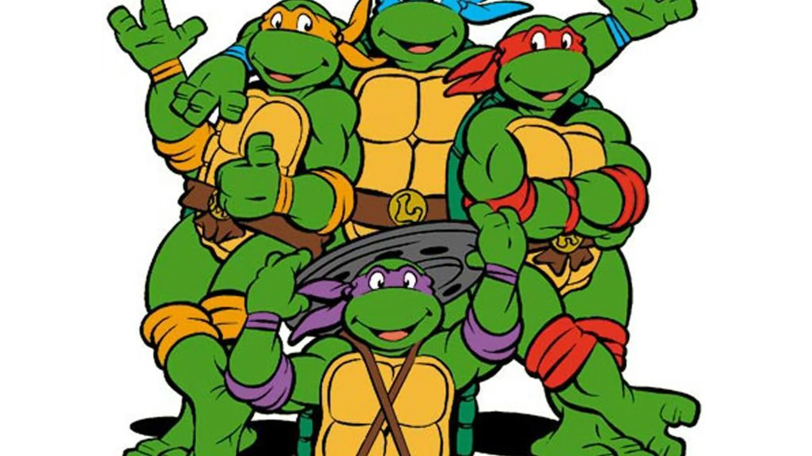 Canadian man attempts to smuggle 38 turtles o