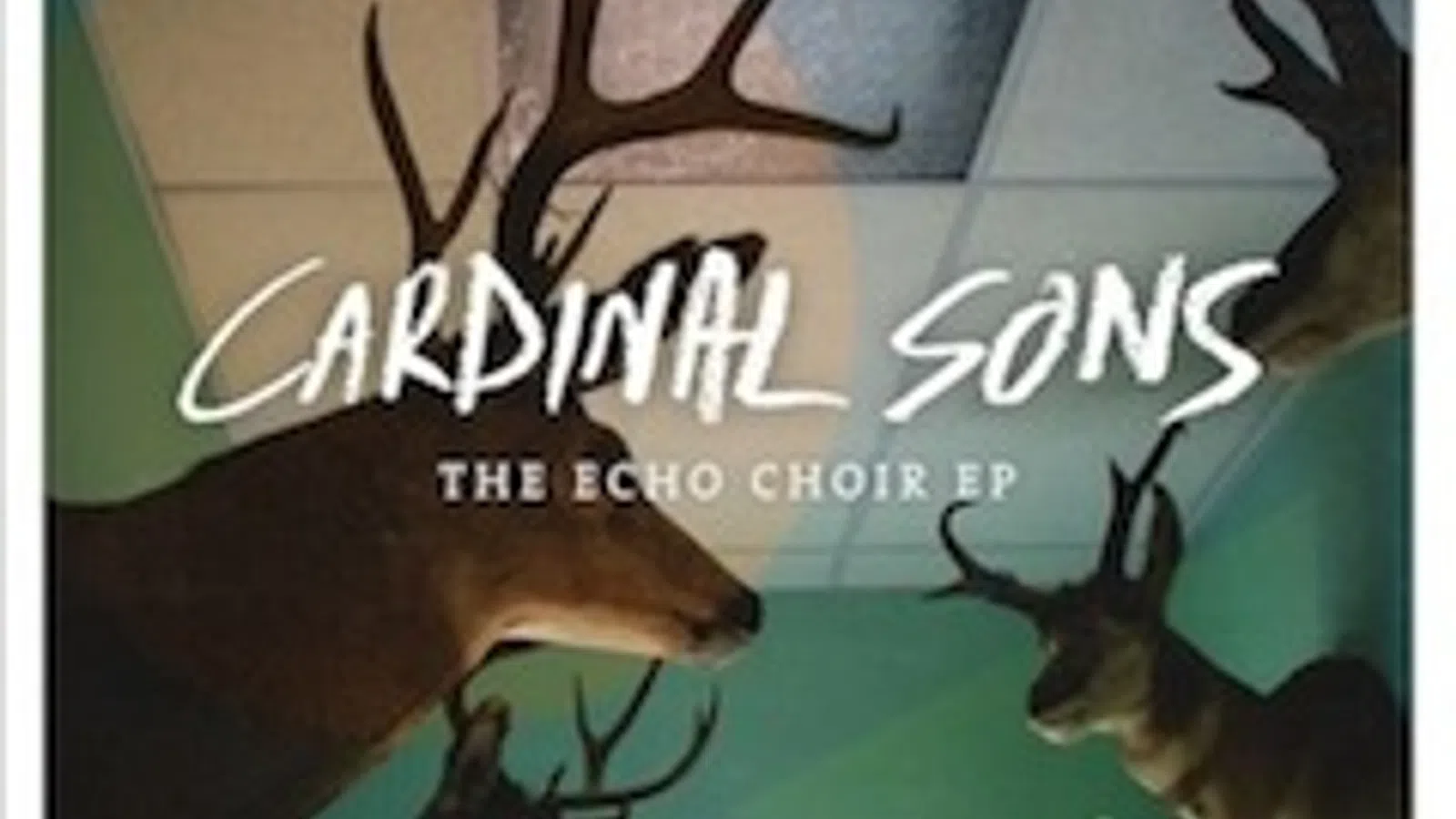 Cardinal Sons
