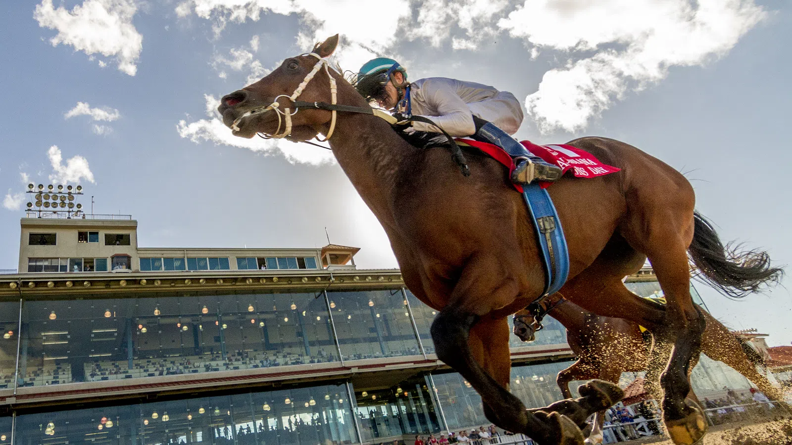 Jockey riding a brown horse in a horse race with grandstand and crowd in the background on a sunny day