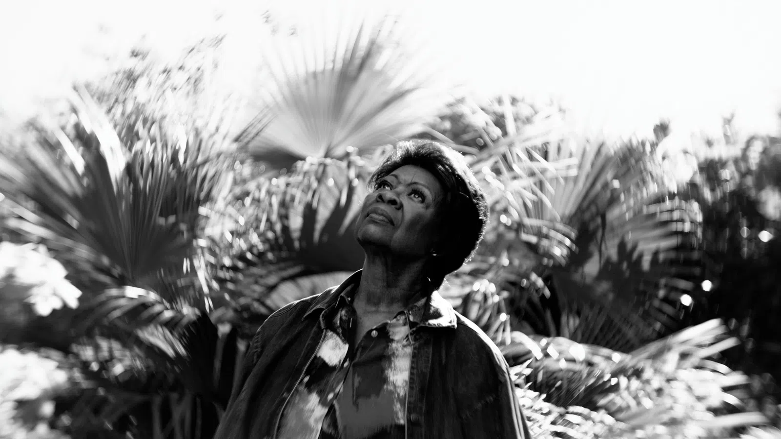 Black and white photo of a woman looking up surrounded by large palm leaves in soft light.