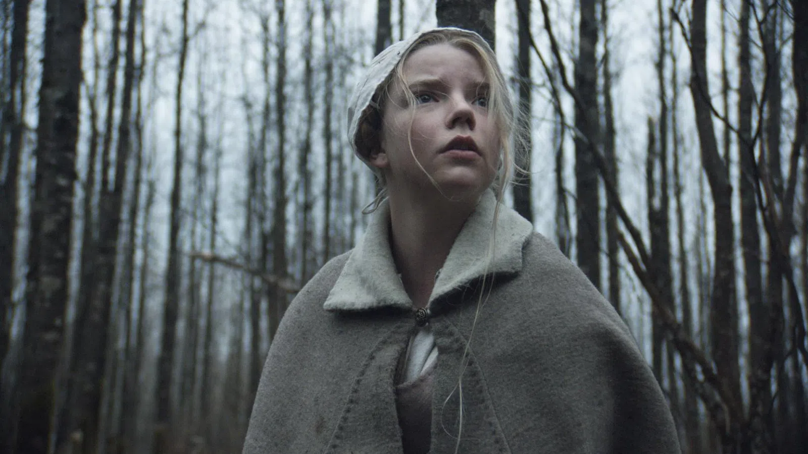 The Witch: A New England Folk Tale