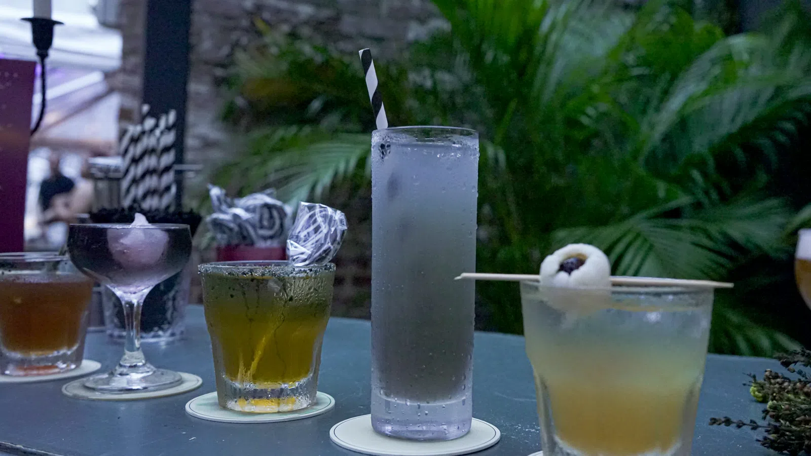 Assorted cocktails in different glasses on a bar counter with greenery in the background at dusk.