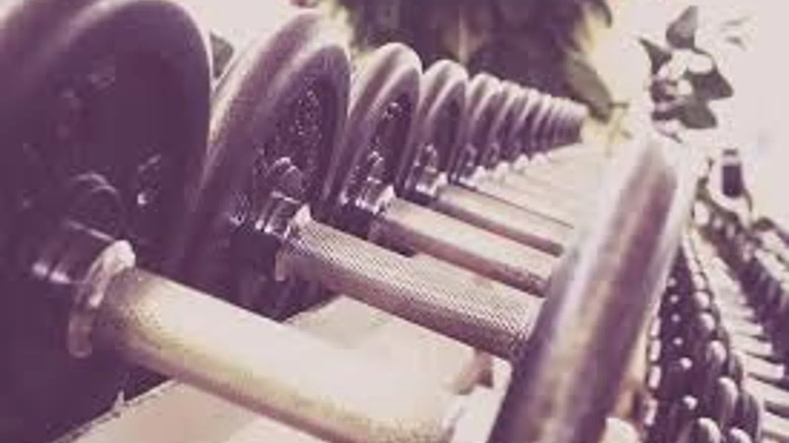 A Lazy Guide to Getting in Shape 