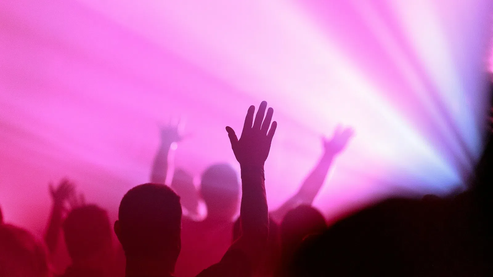 Silhouettes of people raising hands in a vibrant pink and purple light at a concert or event.
