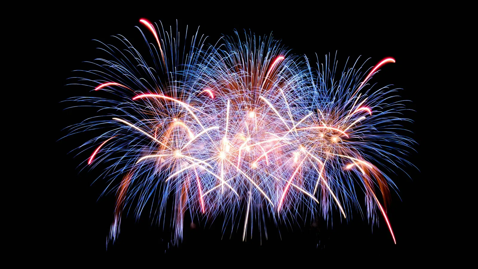Colorful blue and red fireworks bursting against a dark night sky during a celebration.