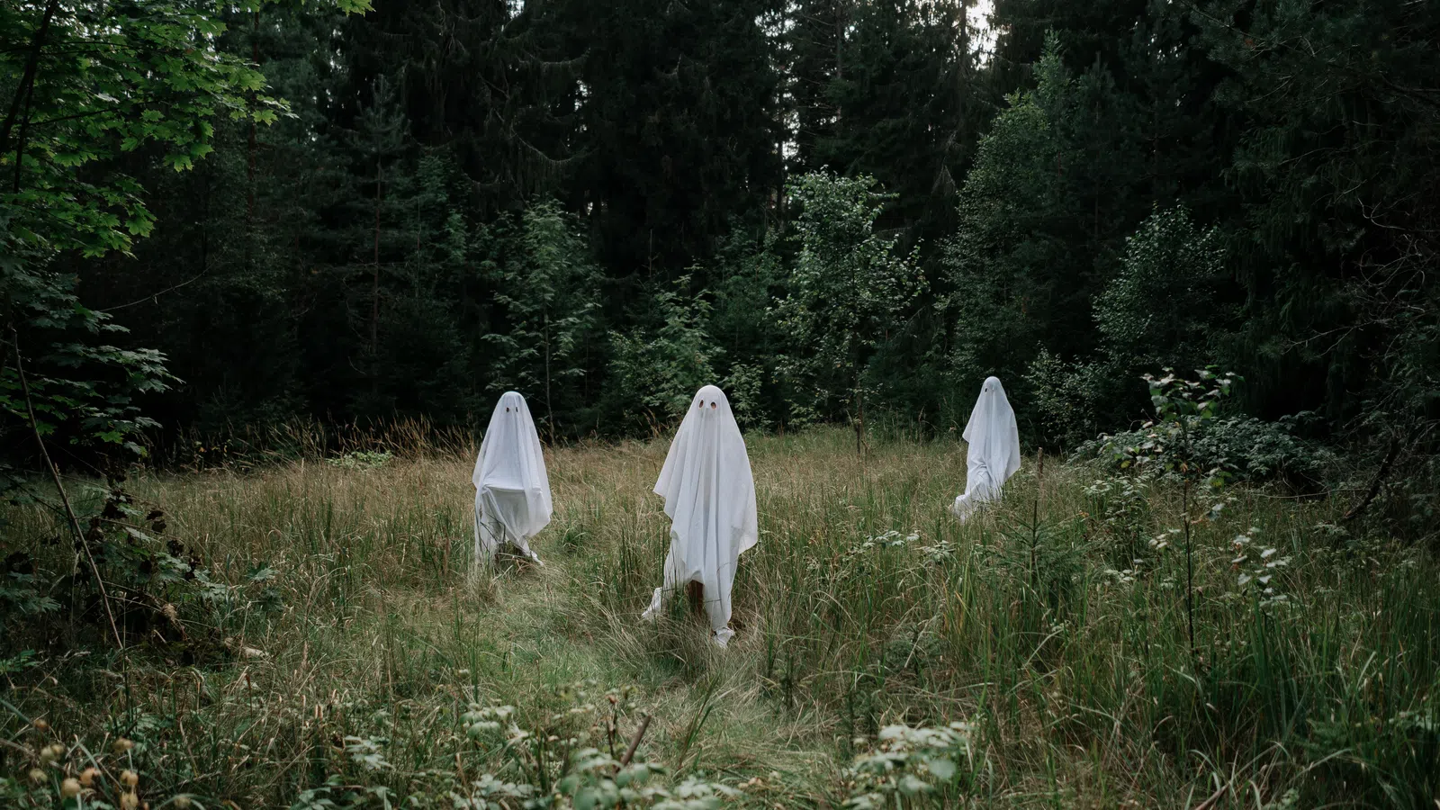 Three figures dressed in white ghost costumes standing in a grassy clearing surrounded by dense forest under overcast sky.