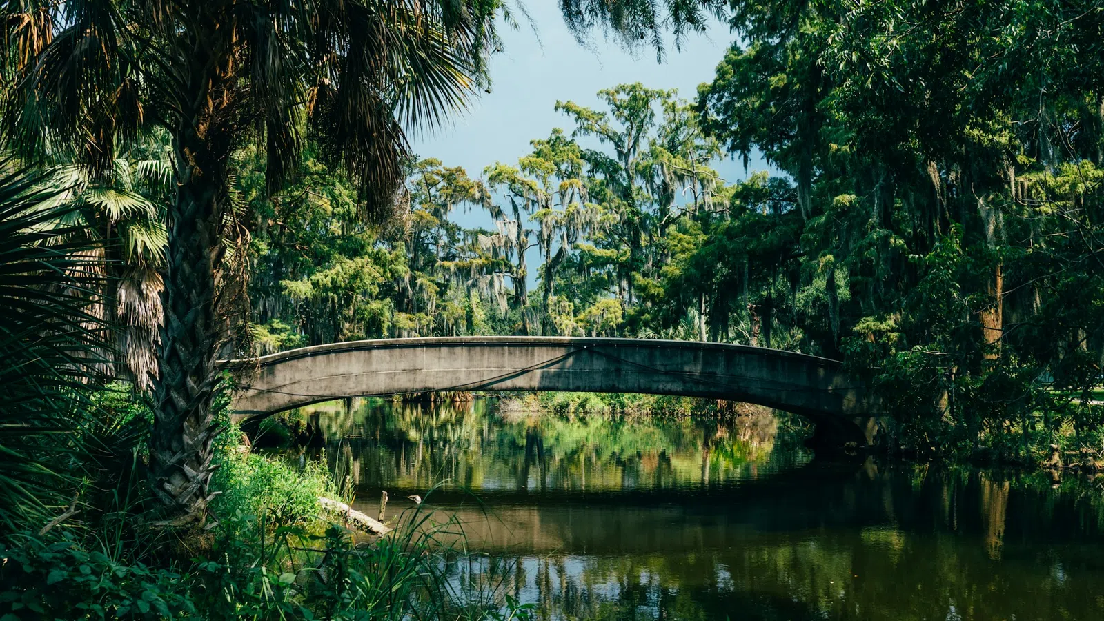 Concrete bridge over calm river surrounded by dense green trees and hanging Spanish moss on a sunny day