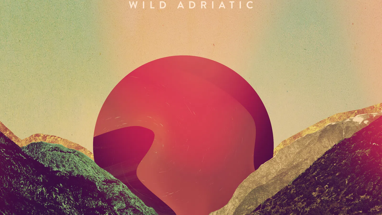 Wild Adriatic Play NOLA and Discuss Their New Album