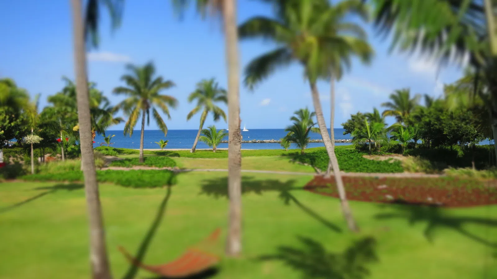 Limin on Nevis: The Island Less Travelled 