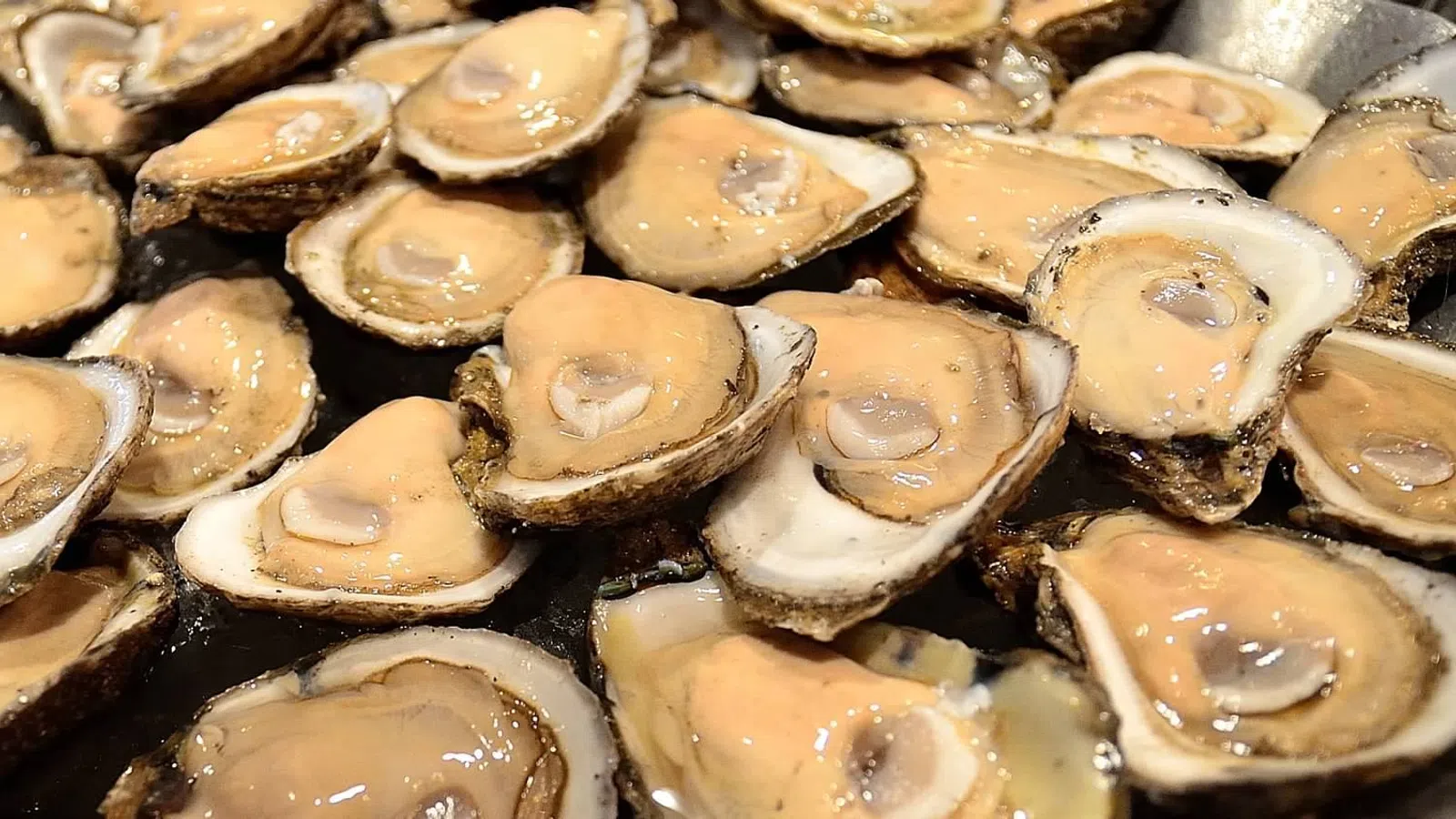 Gearing Up For National Oyster Day on August 5