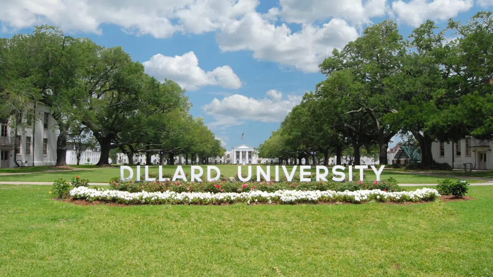 At 63, LaVerne Robertson Davis Chases Dream at Dillard University
