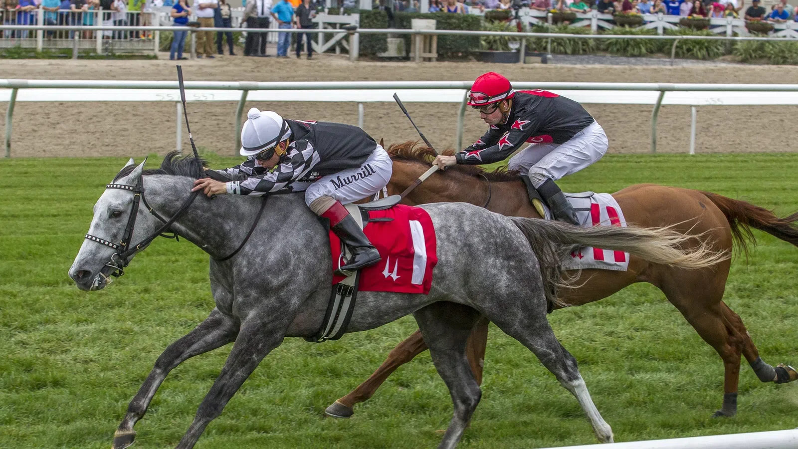 Chasing Churchill Downs: The Road to the Kentucky Derby