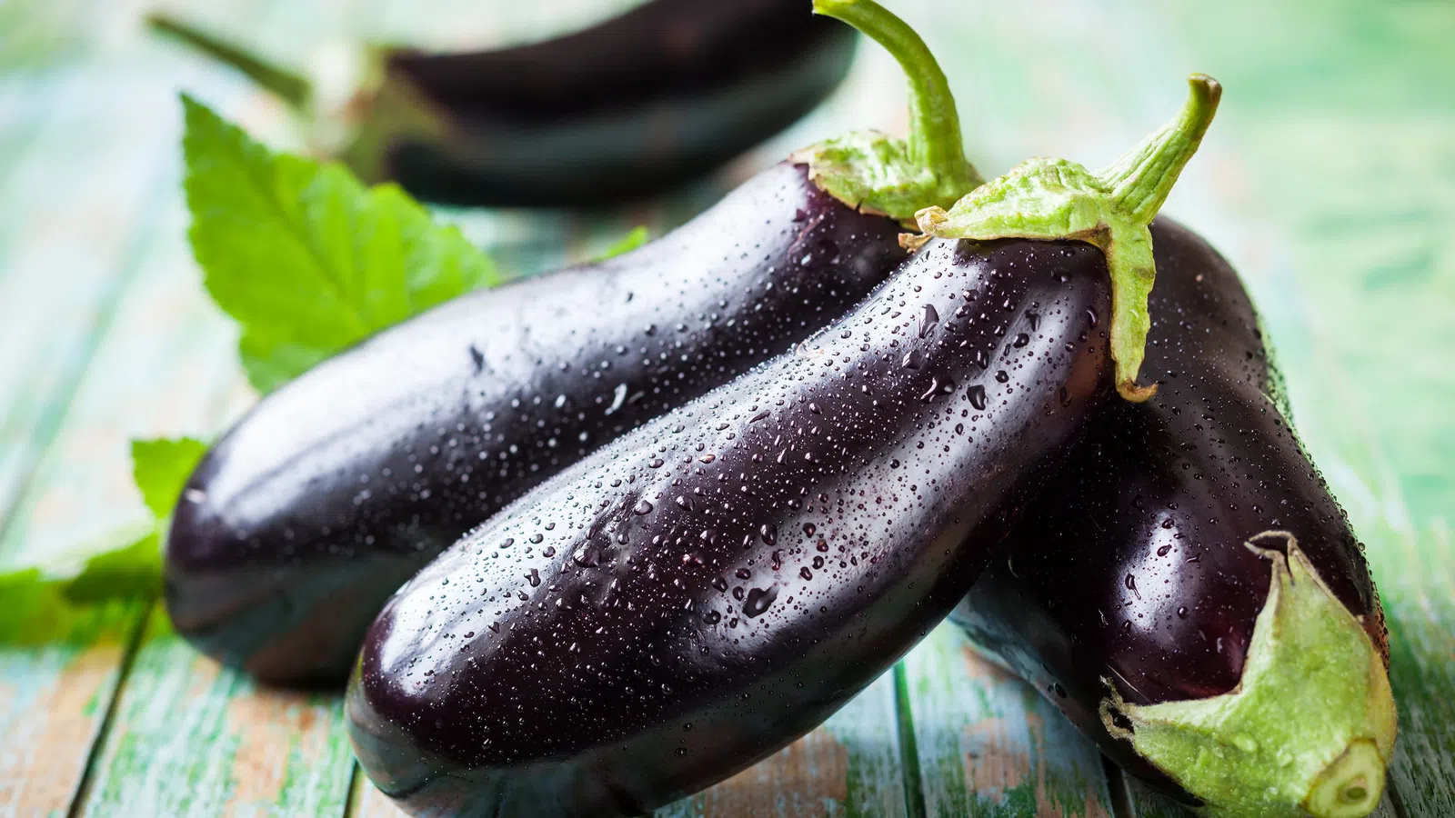 $20 and Under (September 2016) - Eggplant Envy