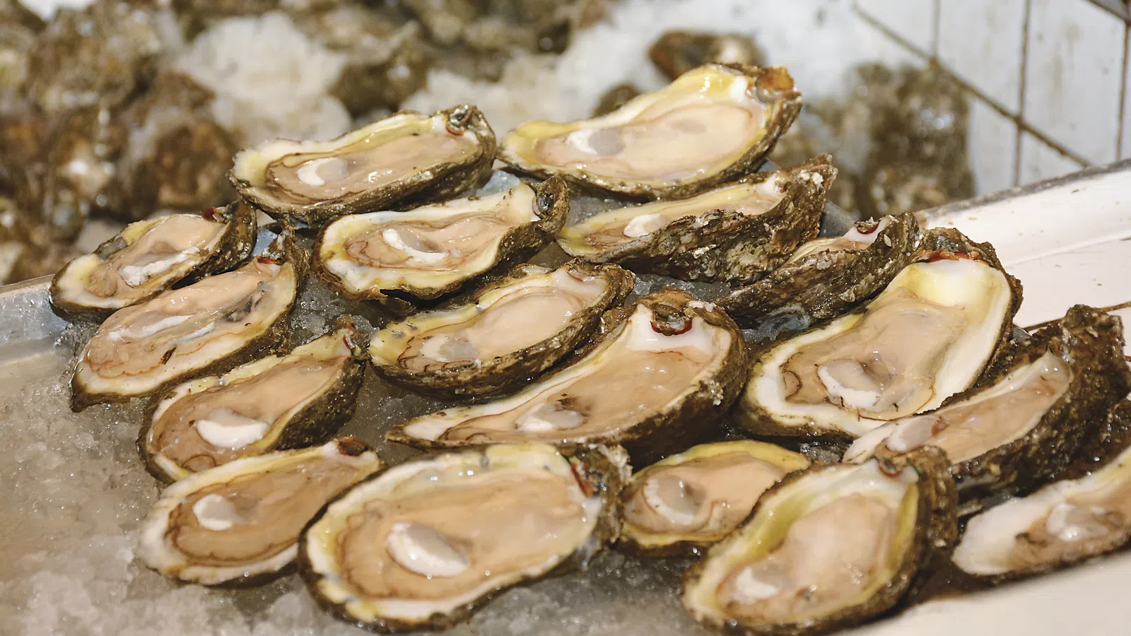 Bar Rooms & Bivalves: Oyster Season and the Neighborhood Bar in New Orleans