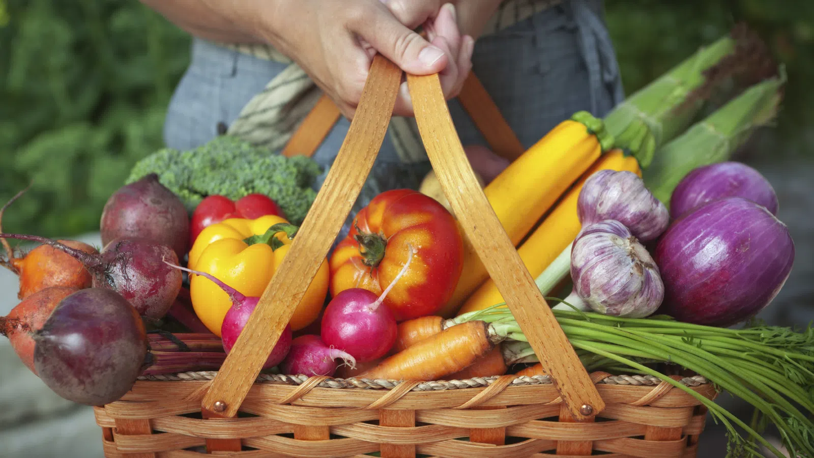 Genetically Modified Organisms (GMOs) Have No Health Risks According to Report