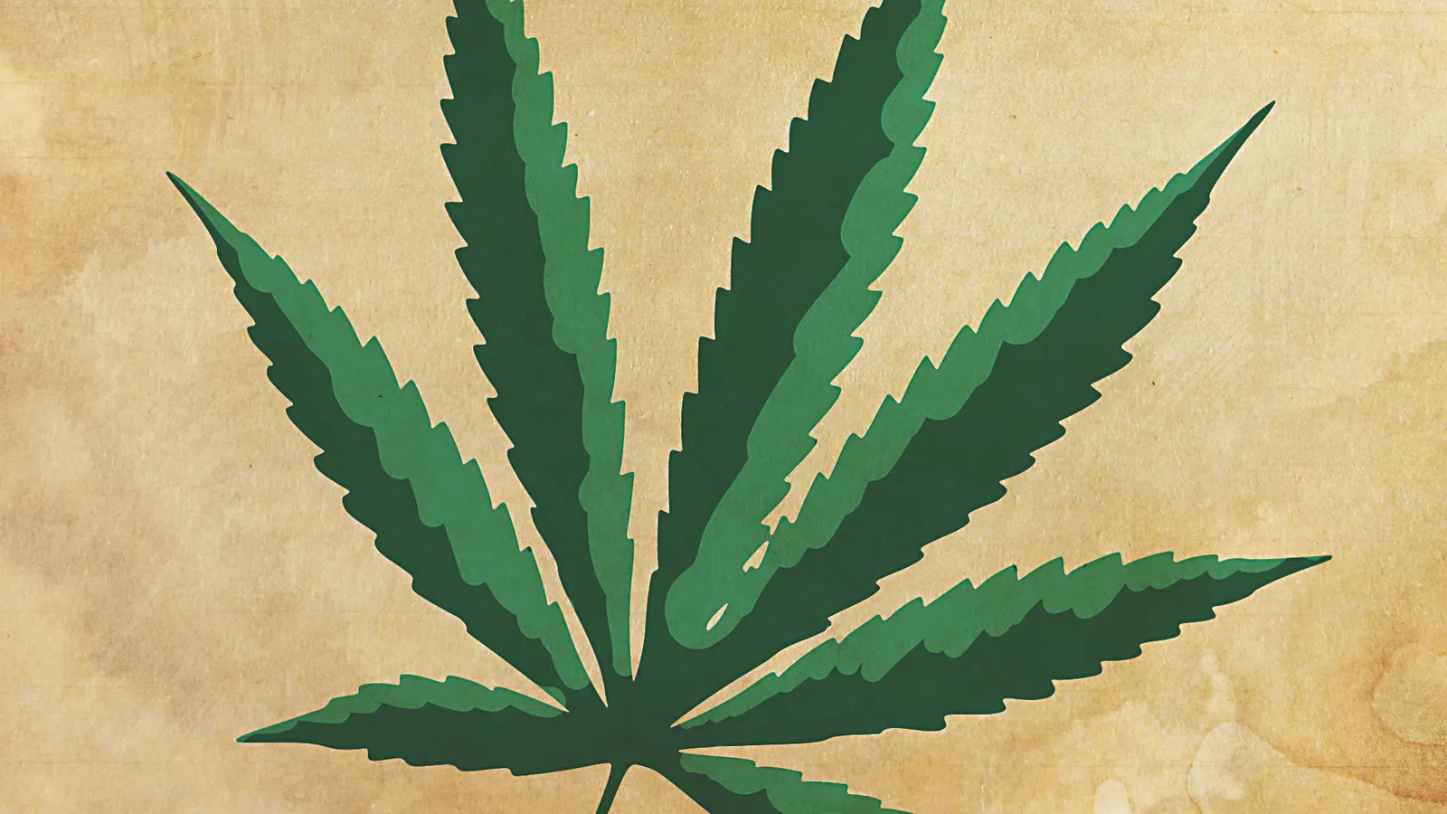 Marijuana Tax Revenue Gets Sky High in CO, Could LA Be Next?