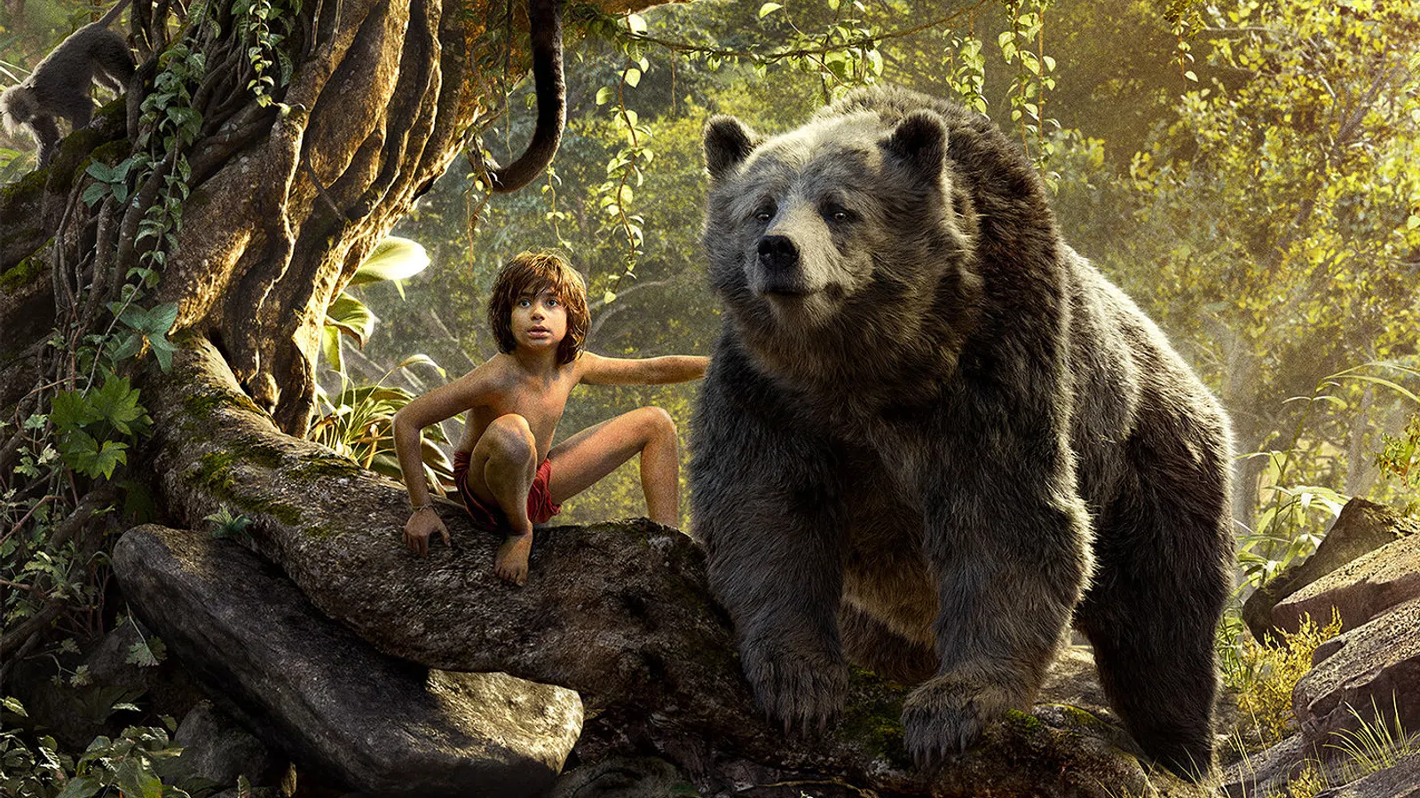 What's New to Netflix: November 2016