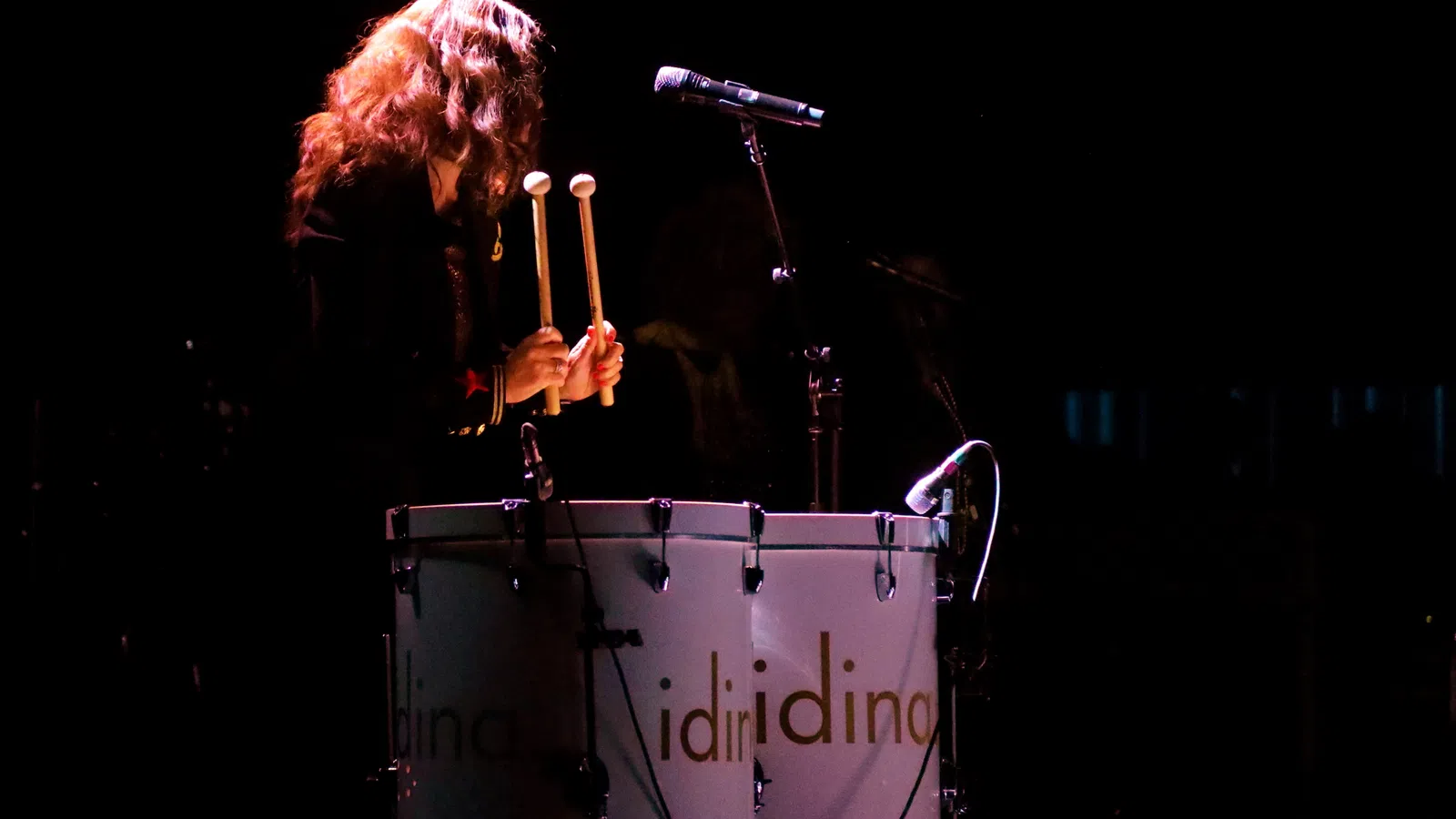 Idina Menzel Defies Gravity at the Saenger Theatre