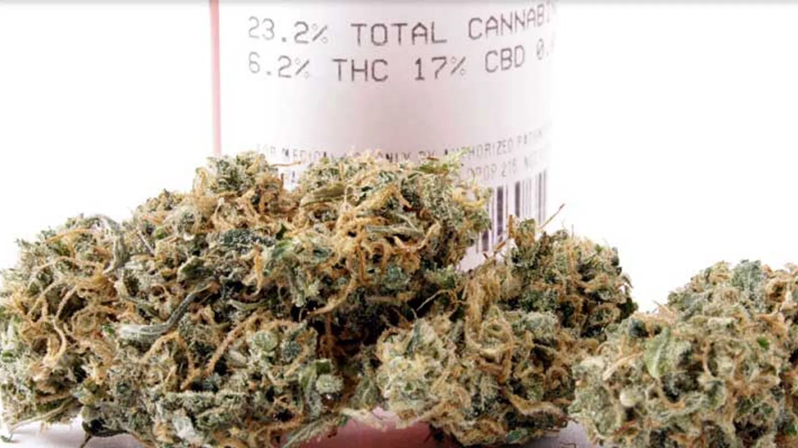 Louisiana House of Rep. Passes Extensive Medical Marijuana Legislation