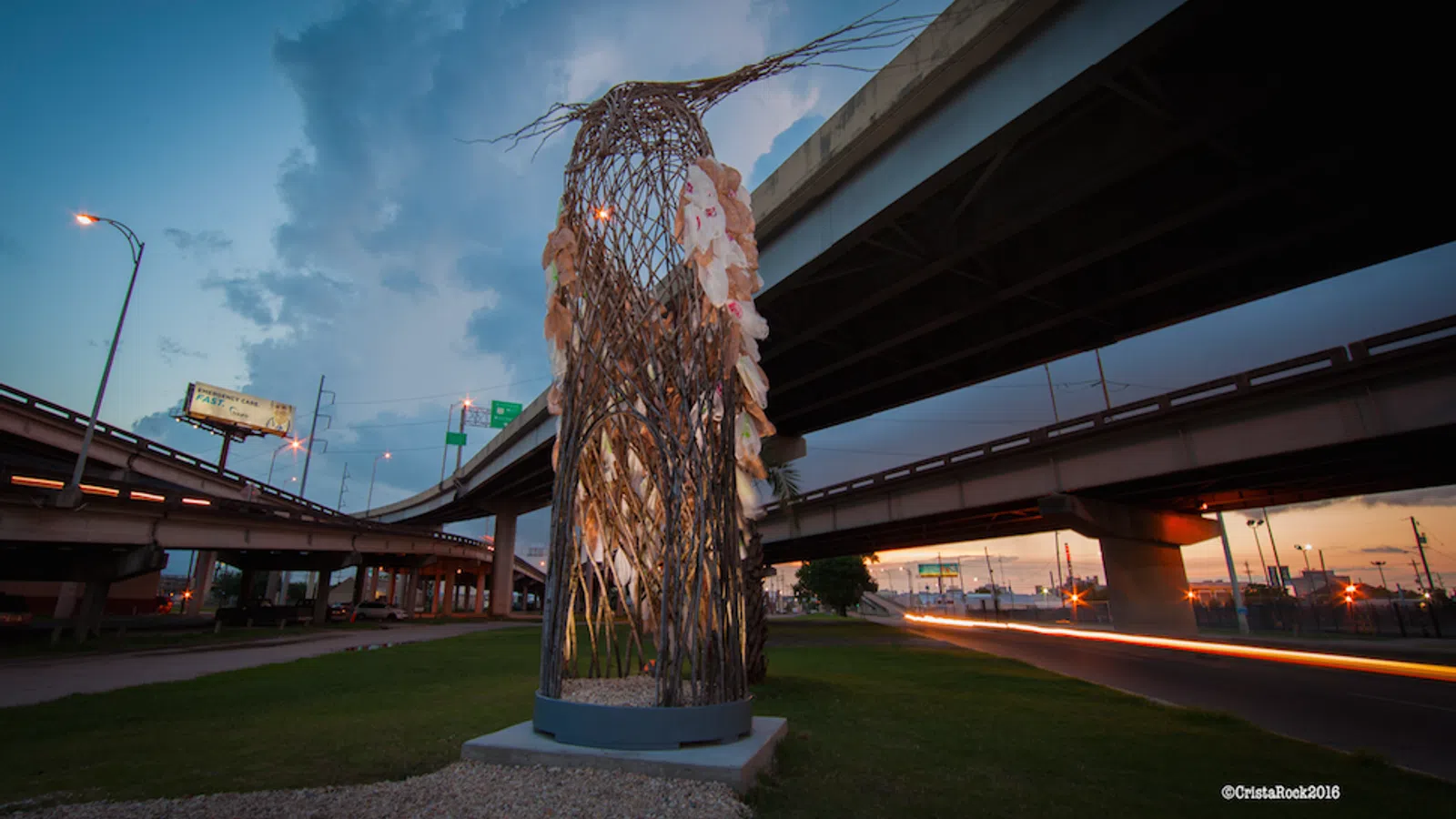 Birds Make a Stand Around New Orleans