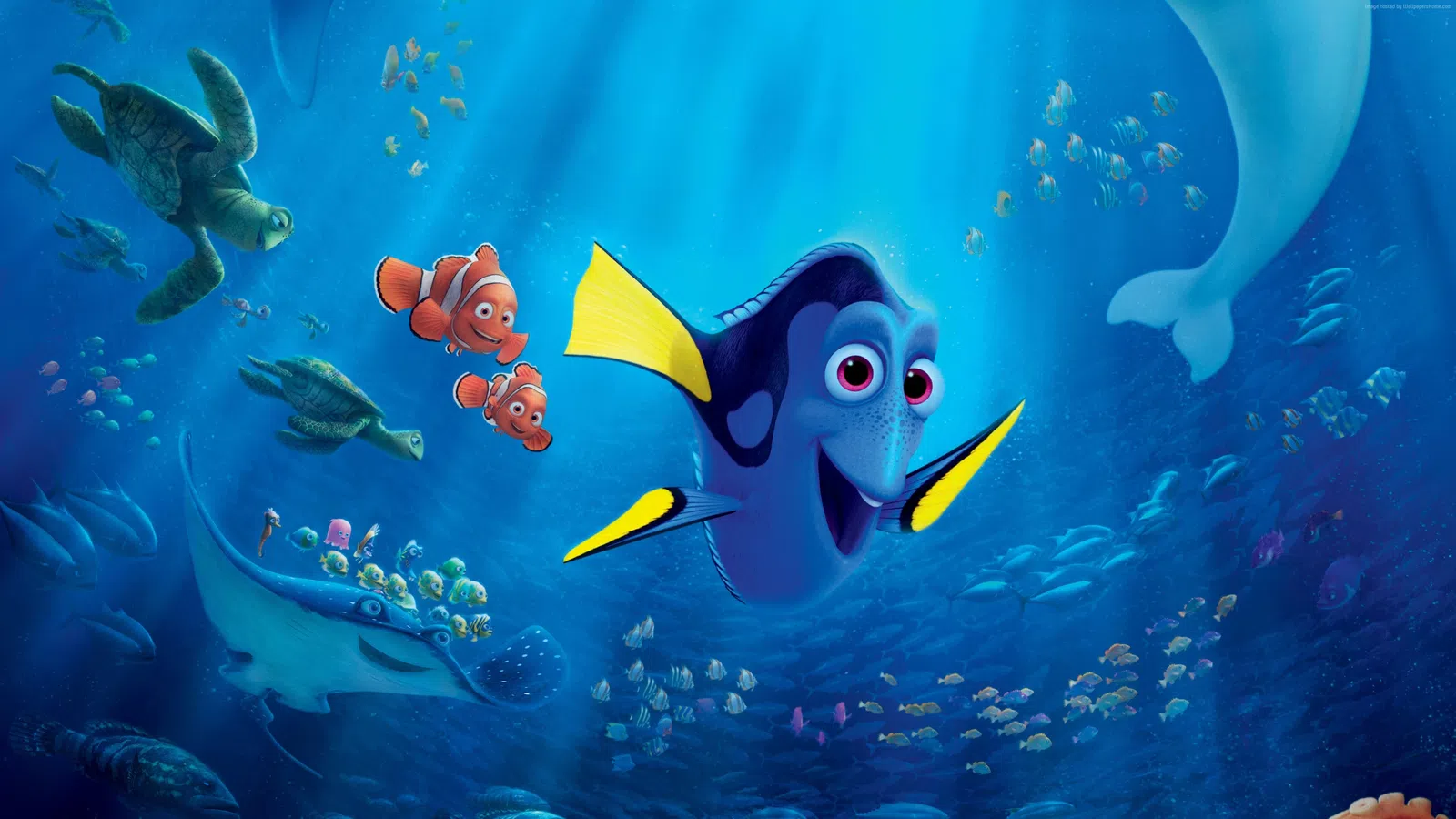 What's New to Netflix: February 2017