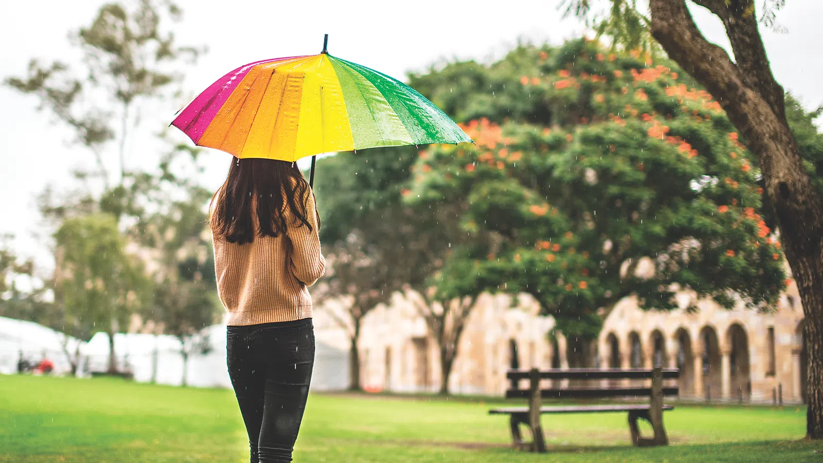 The Rainy Day Guide to New Orleans