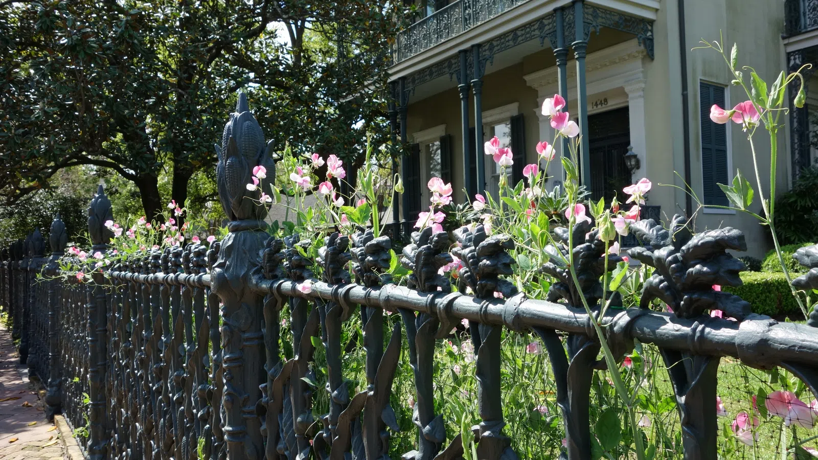 New Orleans Beyond the French Quarter...