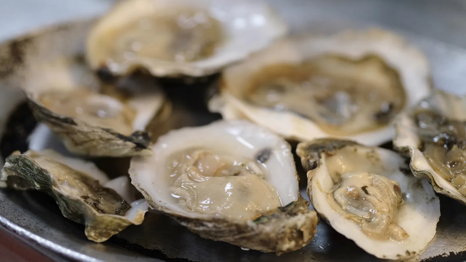 Seaworthy is A Worthy New Addition to Ace Hotel