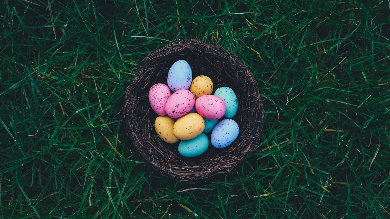 Devilishly Good Eggs