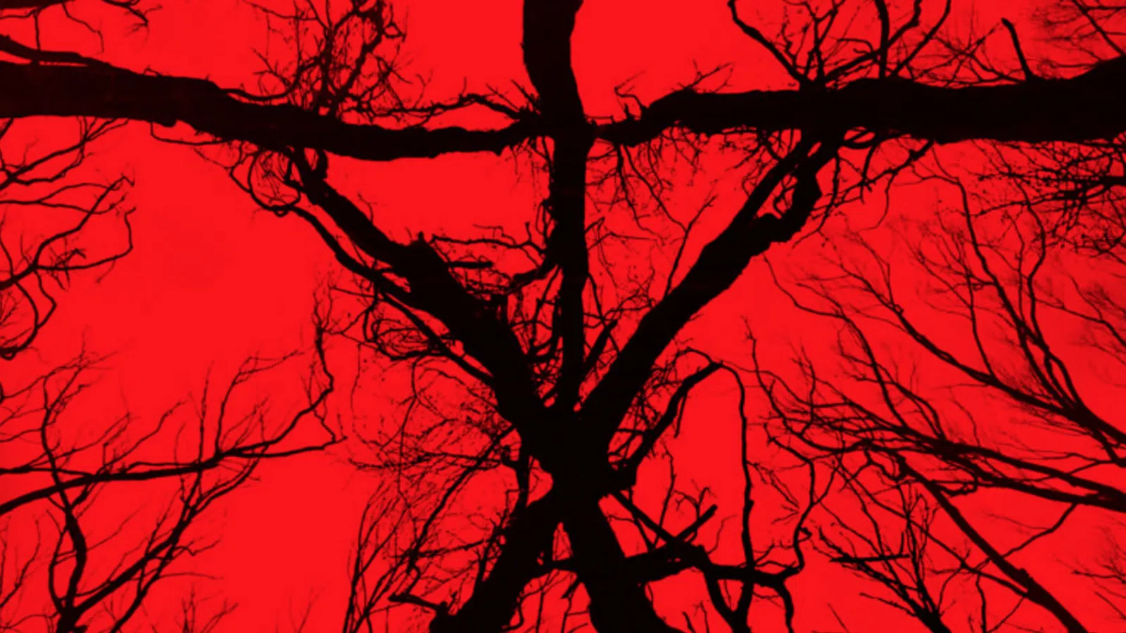 Film Review: Blair Witch