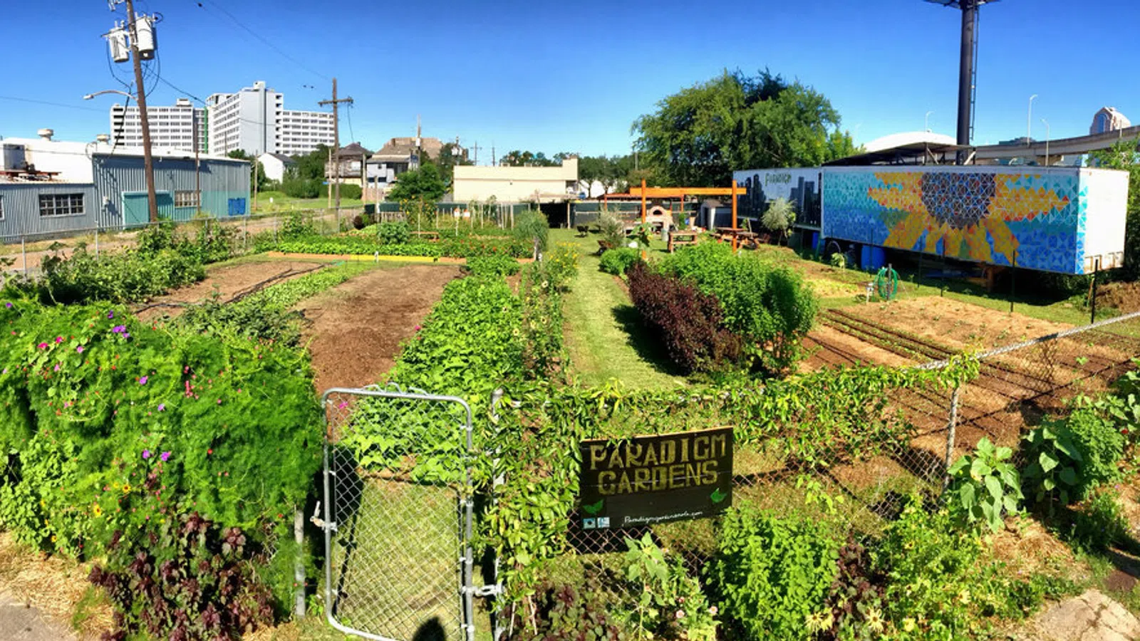 Paradigm Gardens Brings You Pizza & Pies and Music!
