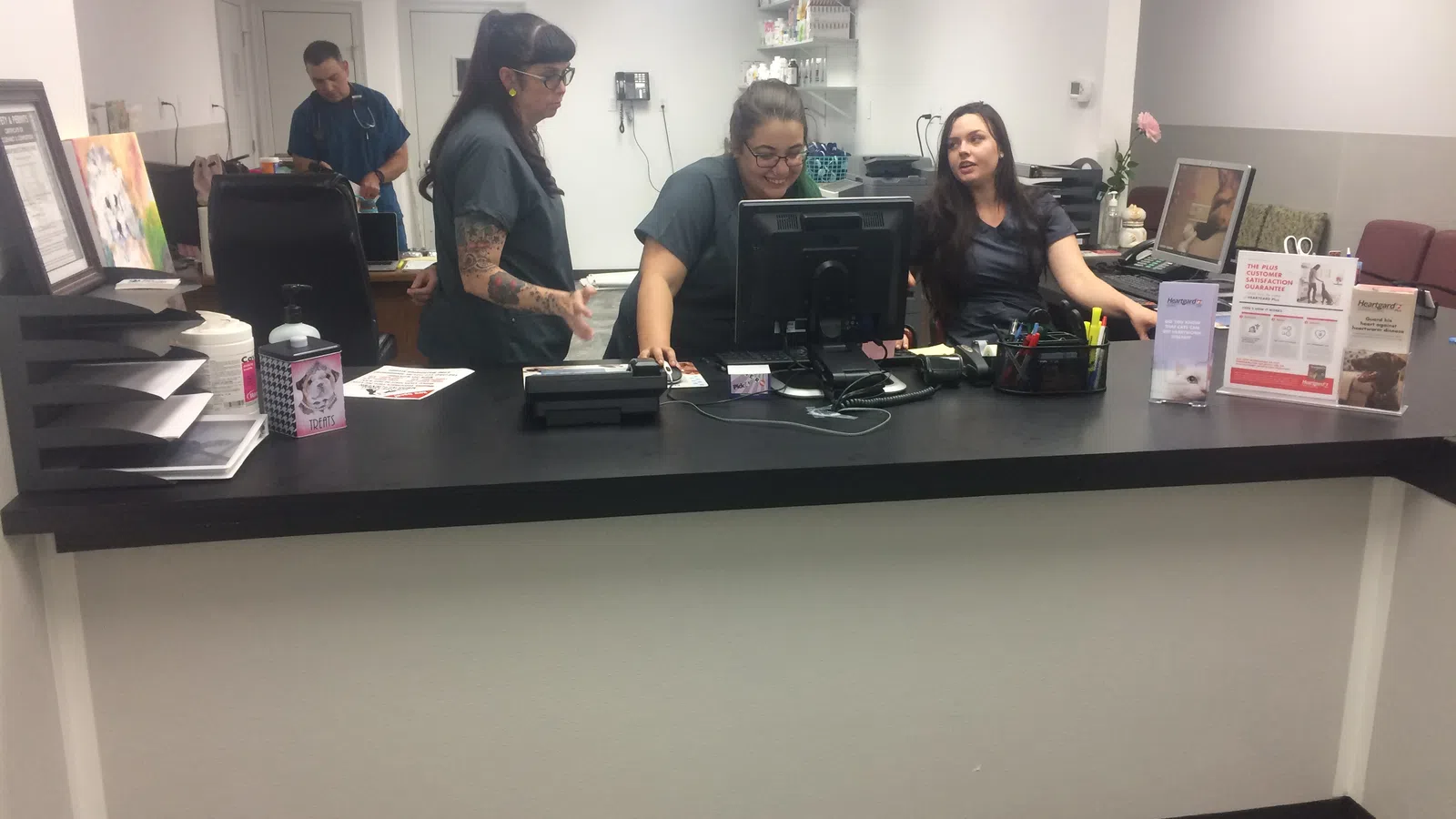 New Orleans Animals Need Checkups, Too