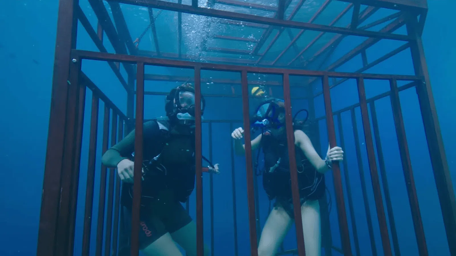 Film Review: 47 Meters Down
