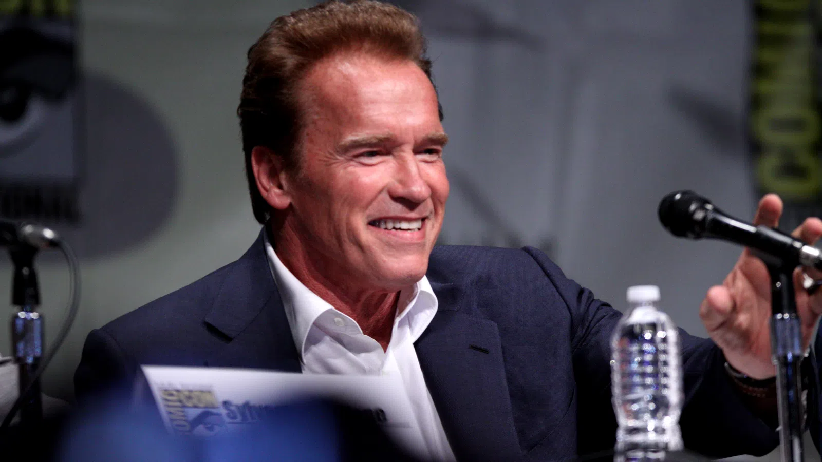 Schwarzenegger and Hamilton to Return for Terminator Reboot