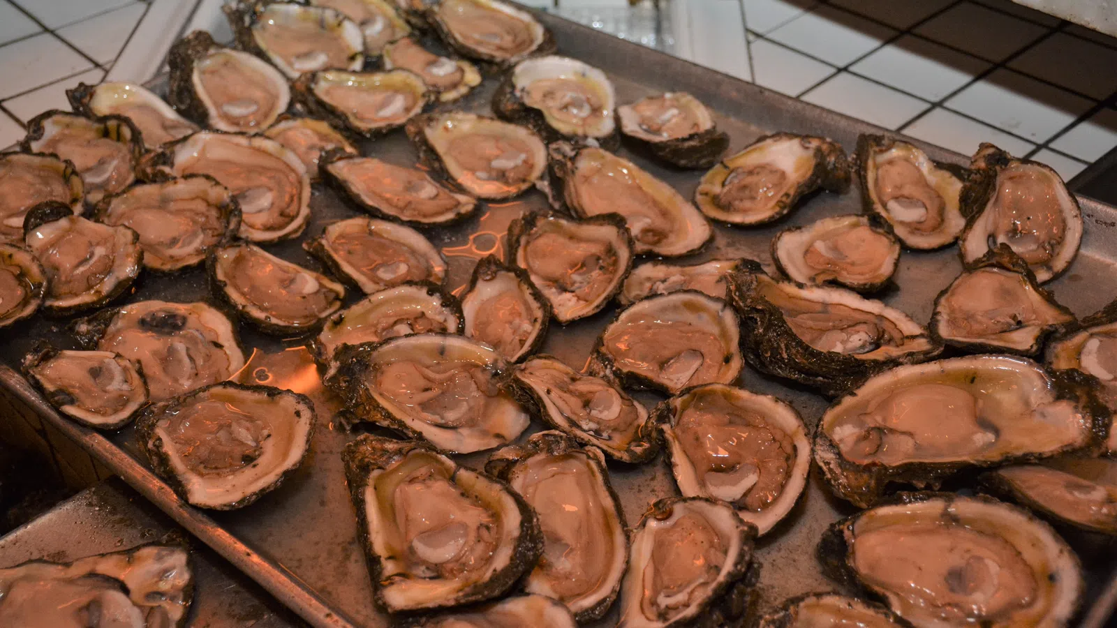 Oh, Shucks! It's National Oyster Day