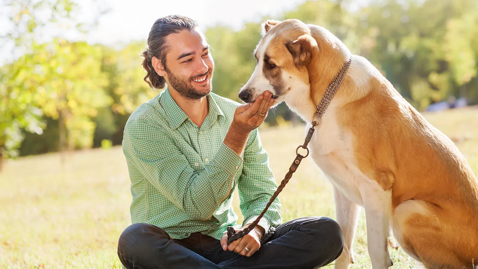 Canine Comfort or A Dog and His Boy