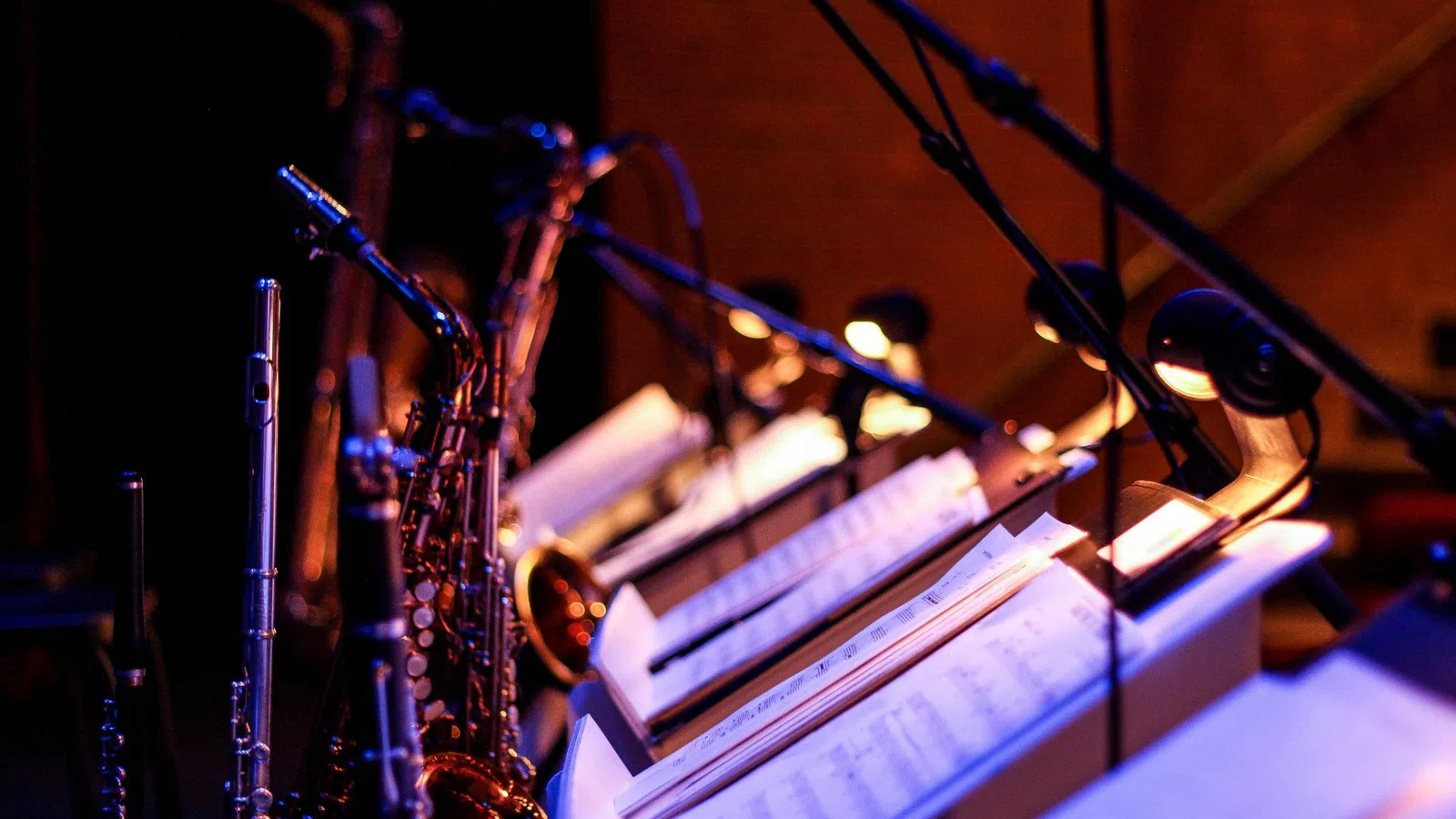 a close-up of a musical instrument