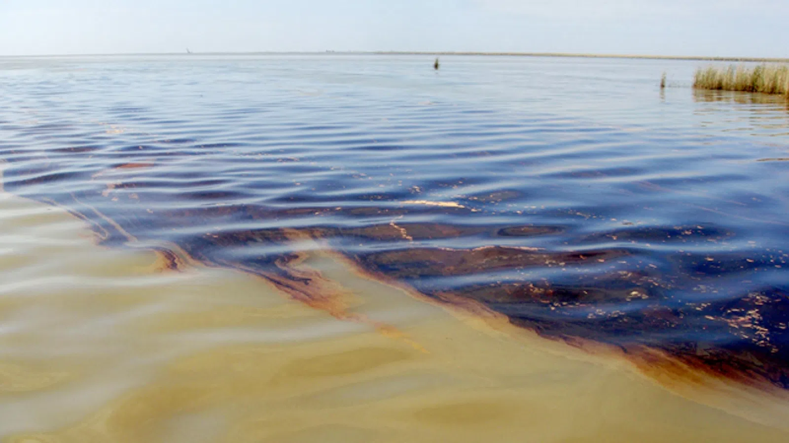 Diesel Fuel Spill in Mississippi River After Ship Collides With Wharf