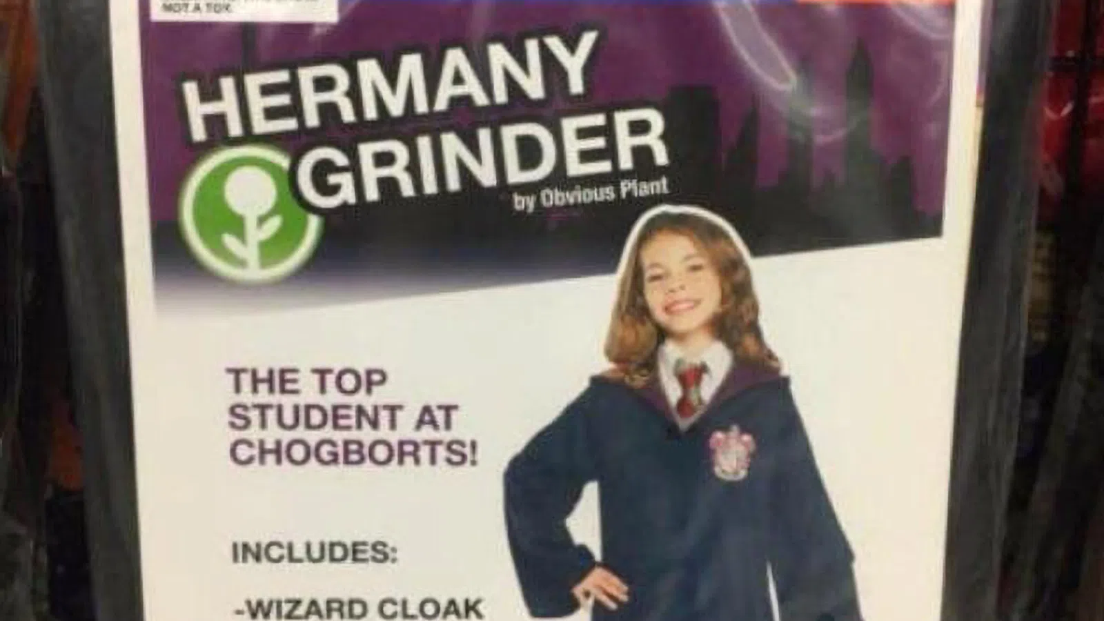 13 of the Best Knock-Off Halloween Costumes