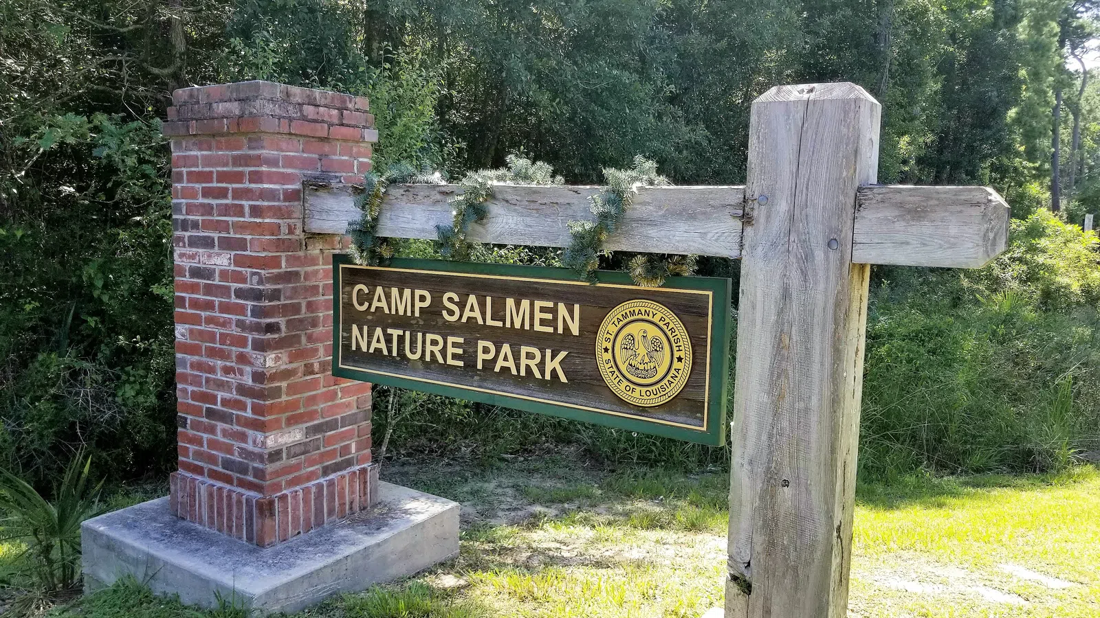 An Idyllic Day Escape: Camp Salmen Nature Park