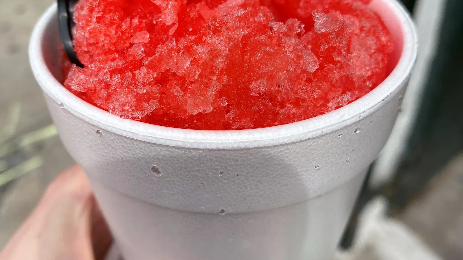 Five Cool Places to Get an Ice-Cold Sno-Ball