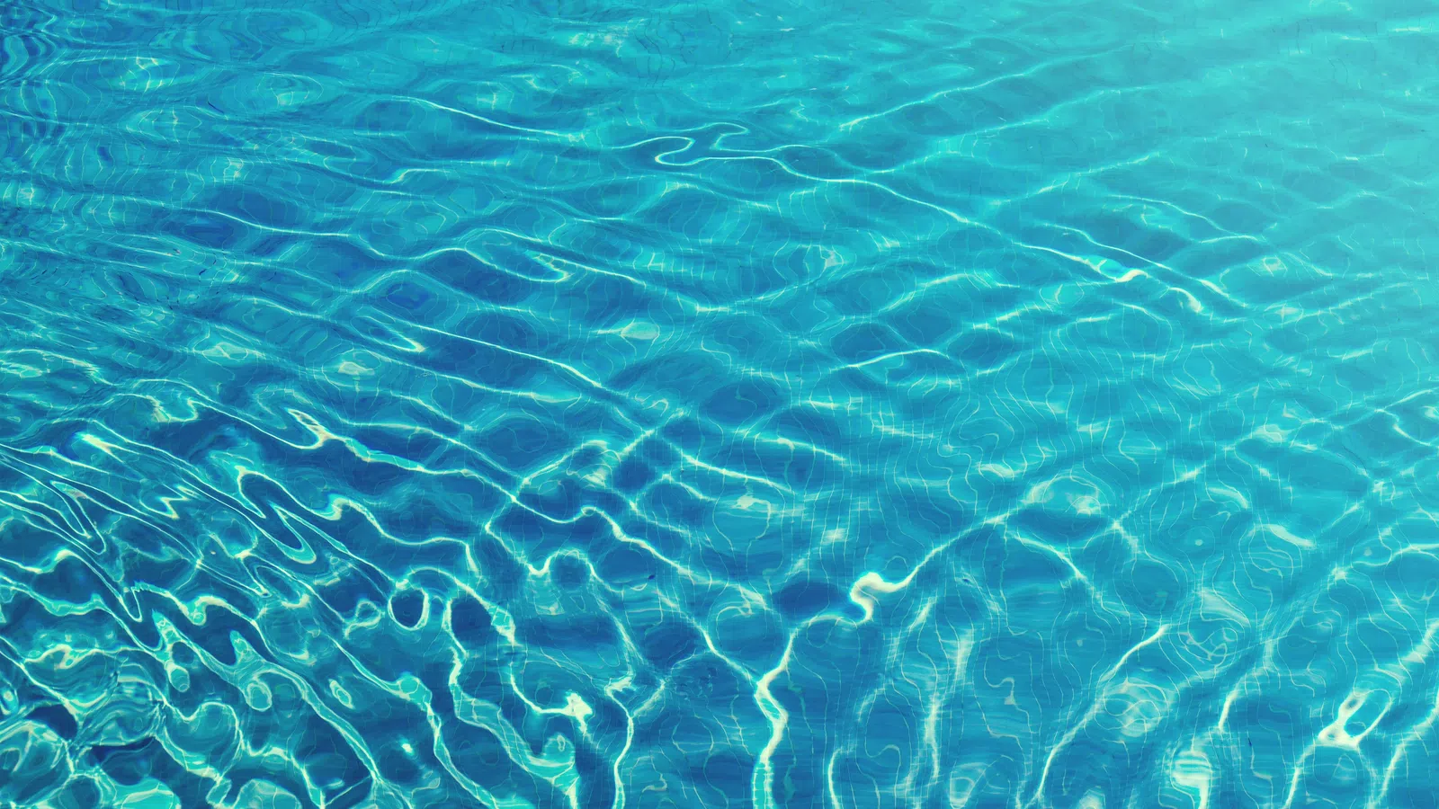 Hyperbaric, Easter, & Pools: Diving & Fishing into Deep Waters