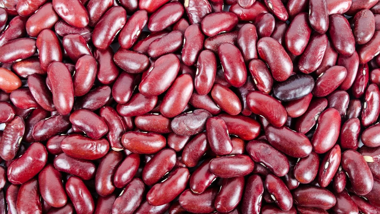 Upcoming Red Beans and Rice Eating Championship