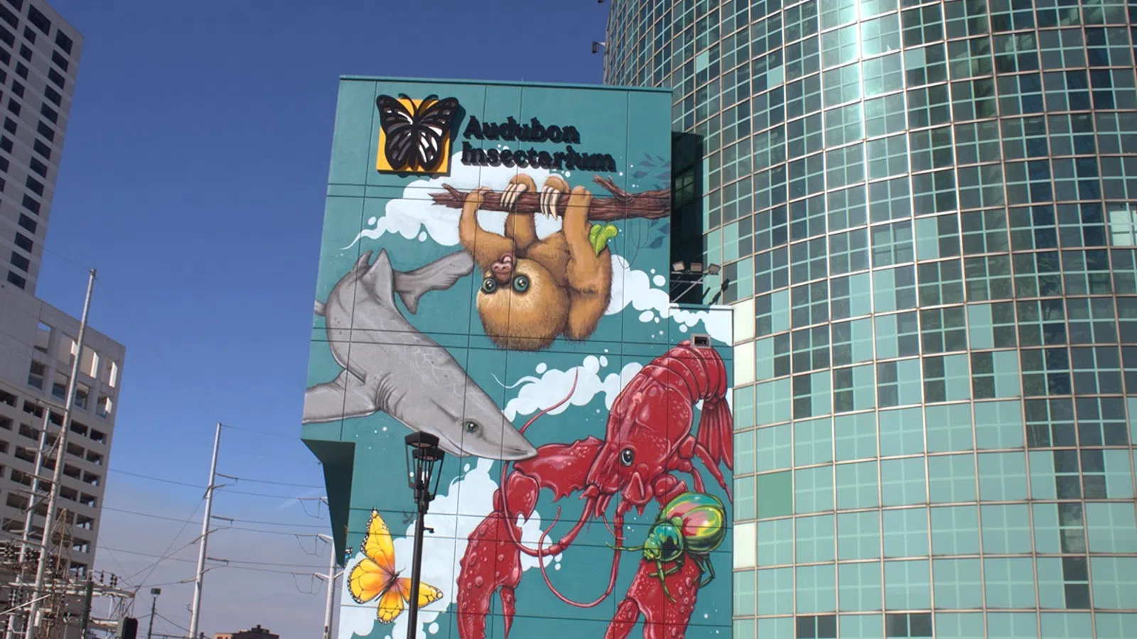 Colorful mural on building featuring sloth, shark, lobster, butterfly, and insect outside Austintosa Insectarium.