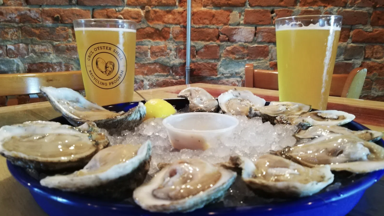 a plate of oysters and a glass of beer