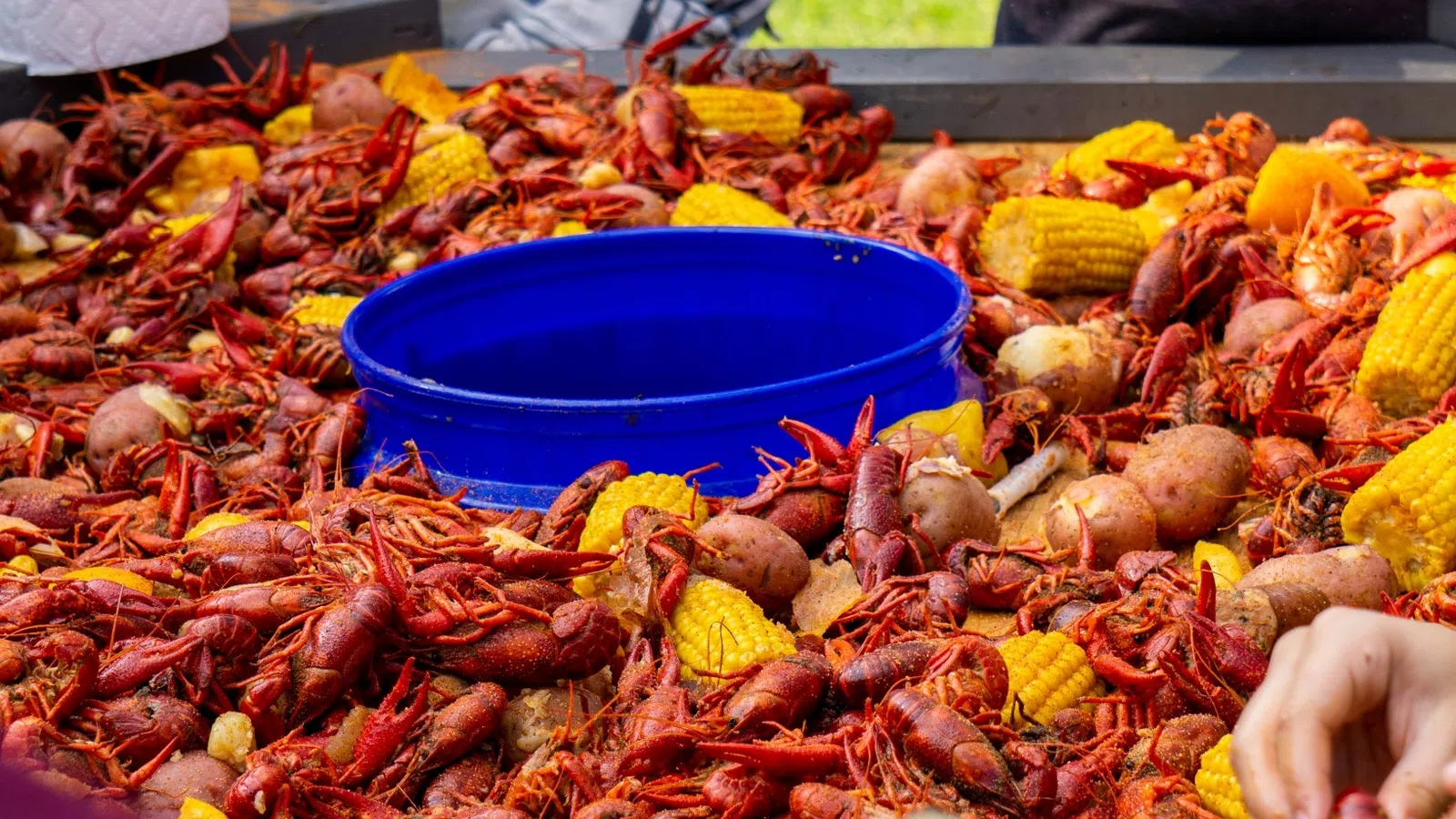 a pile of different kinds of seafood